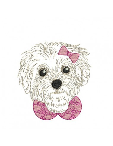 embroidery design Bichon maltese dog