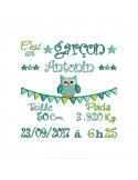 Instant download machine embroidery design Newspaper Birth Announcement boy