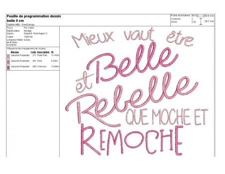 Motif de broderie texte belle et rebelle