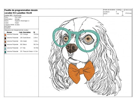 Motif de broderie machine cavalier king charles avec ses lunettes