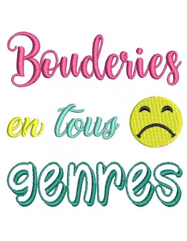 Motif de broderie texte bouderies