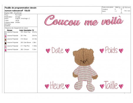 Motif de broderie machine journal de naissance oursonne personnalisable