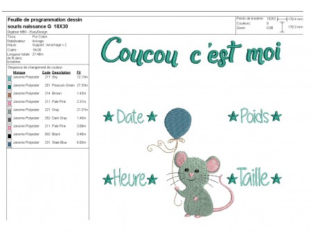 Motif de broderie machine journal de naissance garçon souris personnalisable