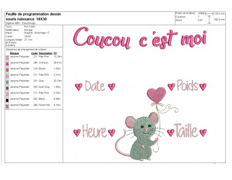 Motif de broderie machine journal de naissance fille souris personnalisable