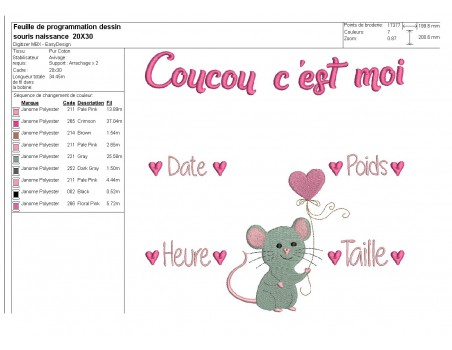 Motif de broderie machine journal de naissance fille souris personnalisable