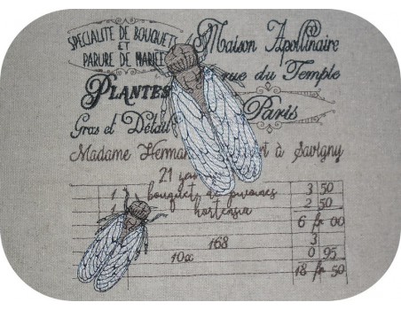 Motif de broderie machine cigale