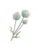 Instant download machine embroidery thistle