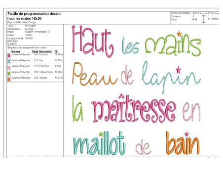 Motif de broderie texte maîtresse maillot de bain