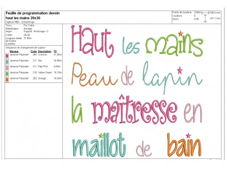 Motif de broderie texte maîtresse maillot de bain