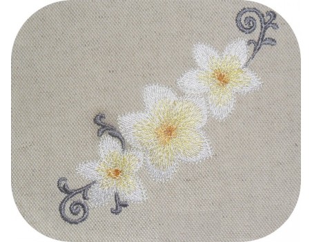 instant download machine embroidery design frangipani flower