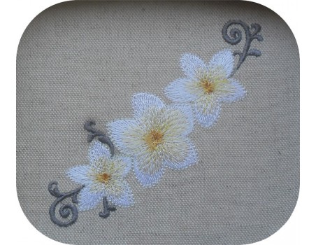 instant download machine embroidery design frangipani flower