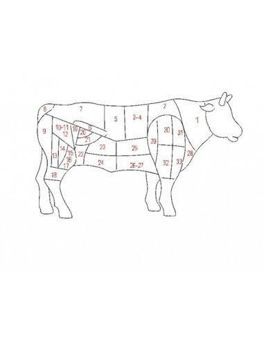 Motif de broderie croquis boeuf du boucher