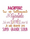 Instant download machine embroidery design surprise grandma big sister version