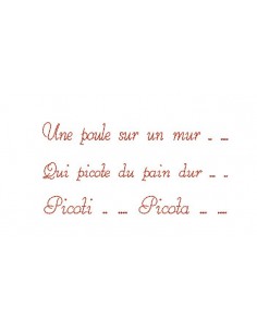 Motif de broderie   picoti picota