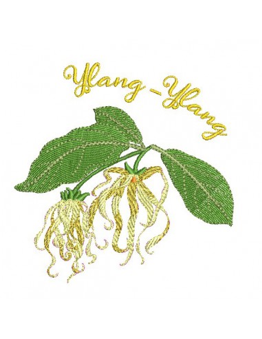 Motif de broderie machine fleur ylang ylang