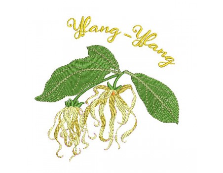 Motif de broderie machine fleur ylang ylang