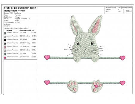 Motif de broderie machine lapin  prénom fille