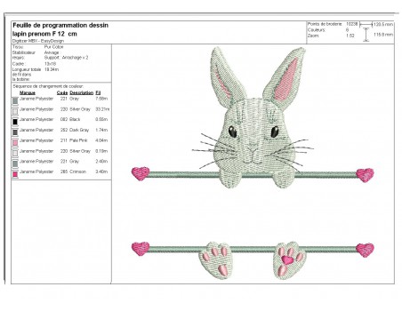 Motif de broderie machine lapin  prénom fille