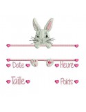 instant download machine embroidery design customizable birth journal girl rabbit