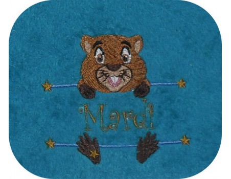 Instant download machine embroidery cat to customize for boy