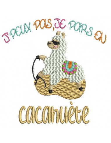 Embroidery design text I can not pony
