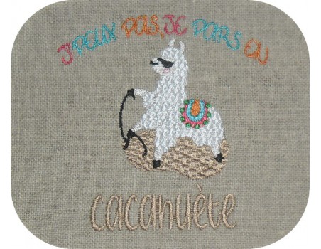 Embroidery design text I can not pony