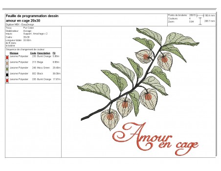 Motif de broderie machine  Amour en cage ou Physalis