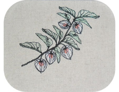 Motif de broderie machine  Amour en cage ou Physalis