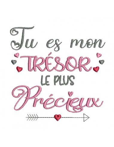 machine embroidery design precious treasure text