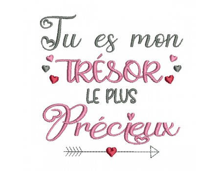 machine embroidery design precious treasure text