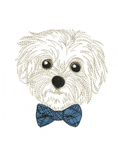 Motif de broderie machine bichon maltais