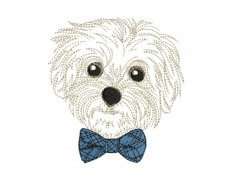 machine embroidery design Bichon maltese dog