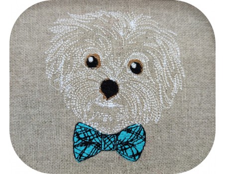 machine embroidery design Bichon maltese dog