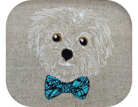 Motif de broderie machine bichon maltais