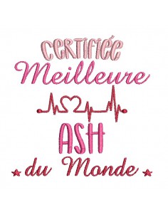 Motif de broderie  machine meilleure ASH