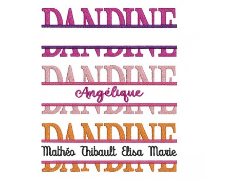 Instant download machine embroidery design customizable dandine