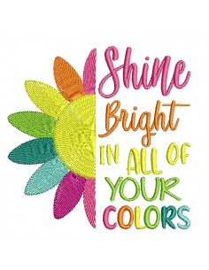machine embroidery design shine, bright colors