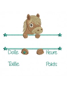 machine embroidery design customizable birth journal pony boy