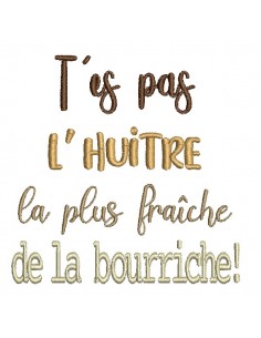 Motif de broderie machine t'es pas l'huitre