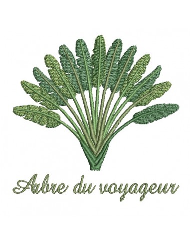 machine embroidery design  traveller's palm