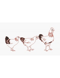 Motif de broderie machine basse cour