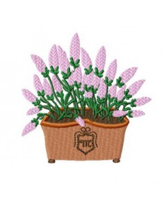 Jardinière de lavande