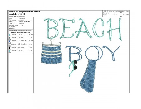 Instant download machine embroidery beach boy