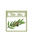 Motif de broderie machine Côté sud cigale sur branche d\'olivier 10x10 cm
