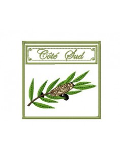 Pot d'Anduze buis taillé 2 formats