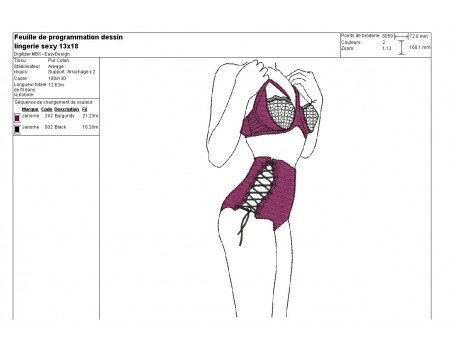 Instant download machine embroidery design  Lingerie corset